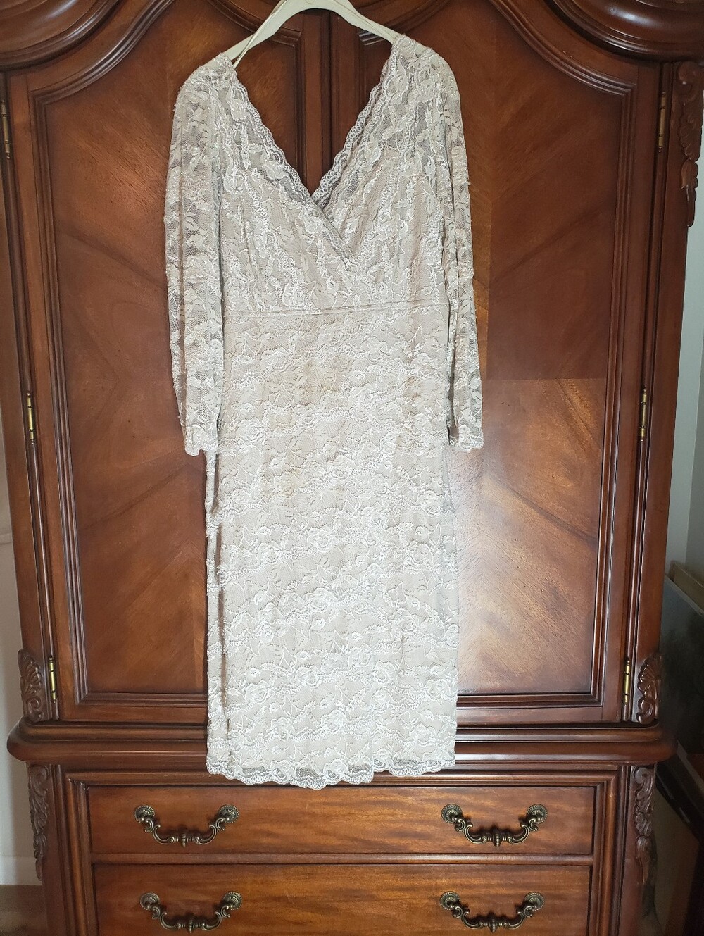Colleen Lopez Lace V-Neck Long Sleeve Sheath Dress in Beige